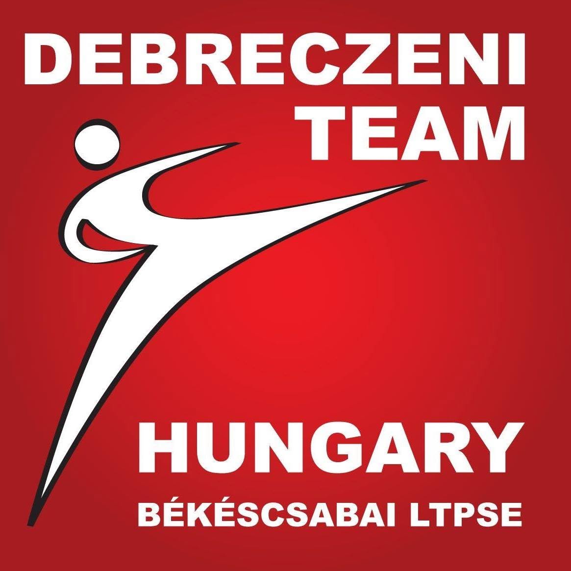 Services Dteam Logo